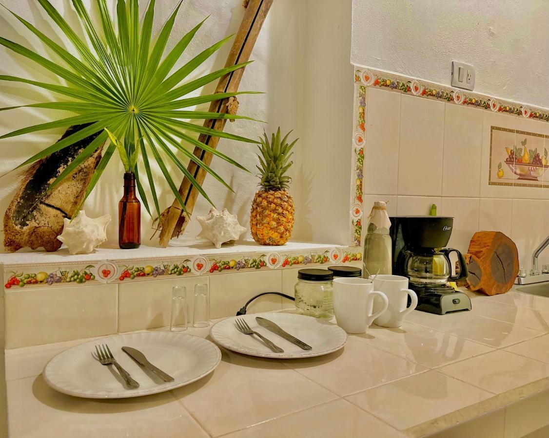 Vila Casa Erizo Mahahual - Adults Only Exteriér fotografie